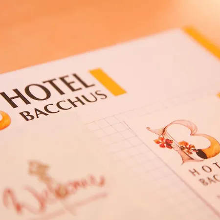Hotel Bacchus Bensheim