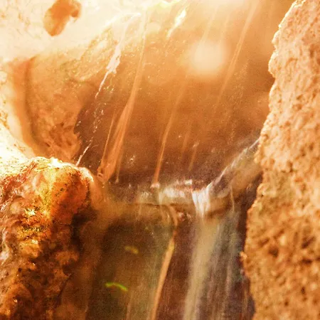 巴克斯酒店 本斯海姆