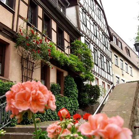 Hotel Bacchus Bensheim