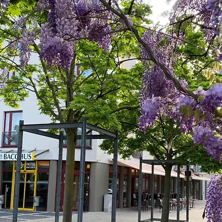 Hotel Bacchus Bensheim