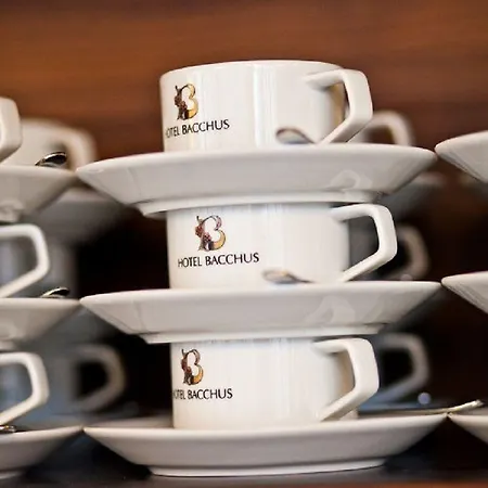 Bacchus Hotel Bensheim