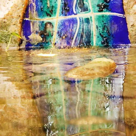 巴克斯酒店 酒店 4*