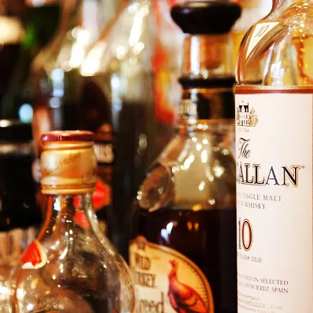 酒店 巴克斯酒店 本斯海姆