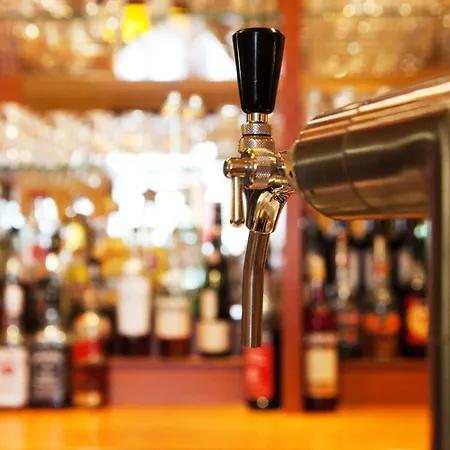 巴克斯酒店 酒店