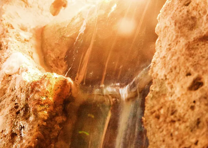 Bacchus Μπενσχάιμ