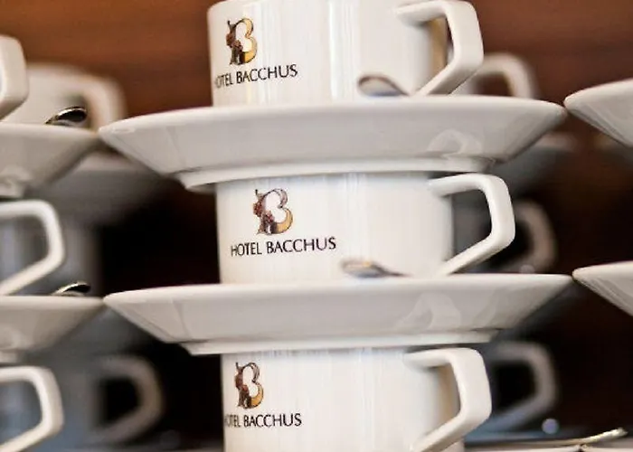 Bacchus Szálloda Bensheim