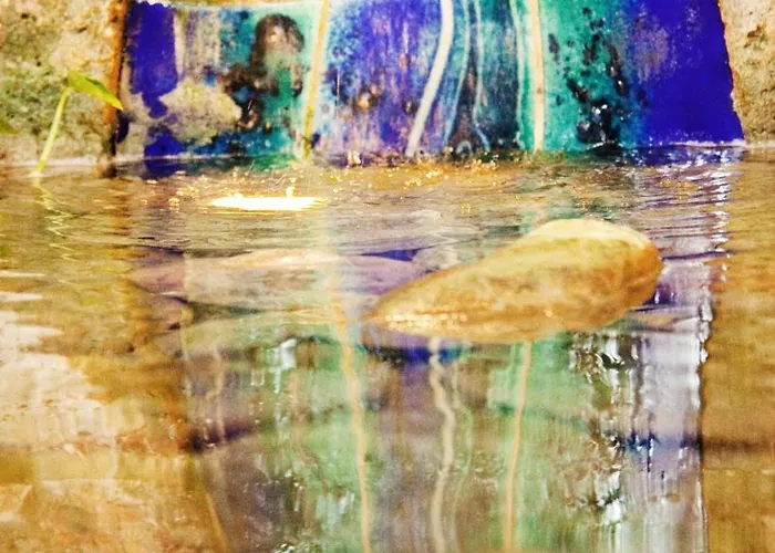 Bacchus Szálloda 4*